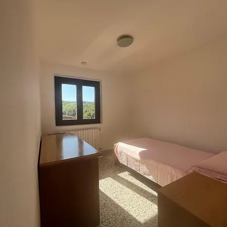 Antico Vigneto *